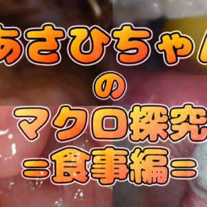 Asahi’s Macroquest ＝ Eating Edition ＝