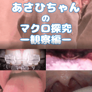 Asahi’s Macroquest – Observation Edition –